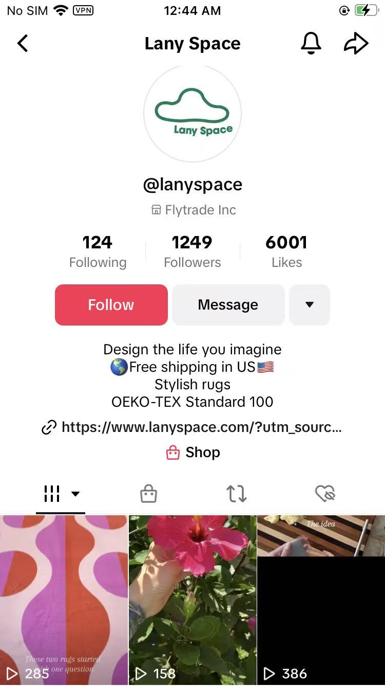 LanySpace Rug 1